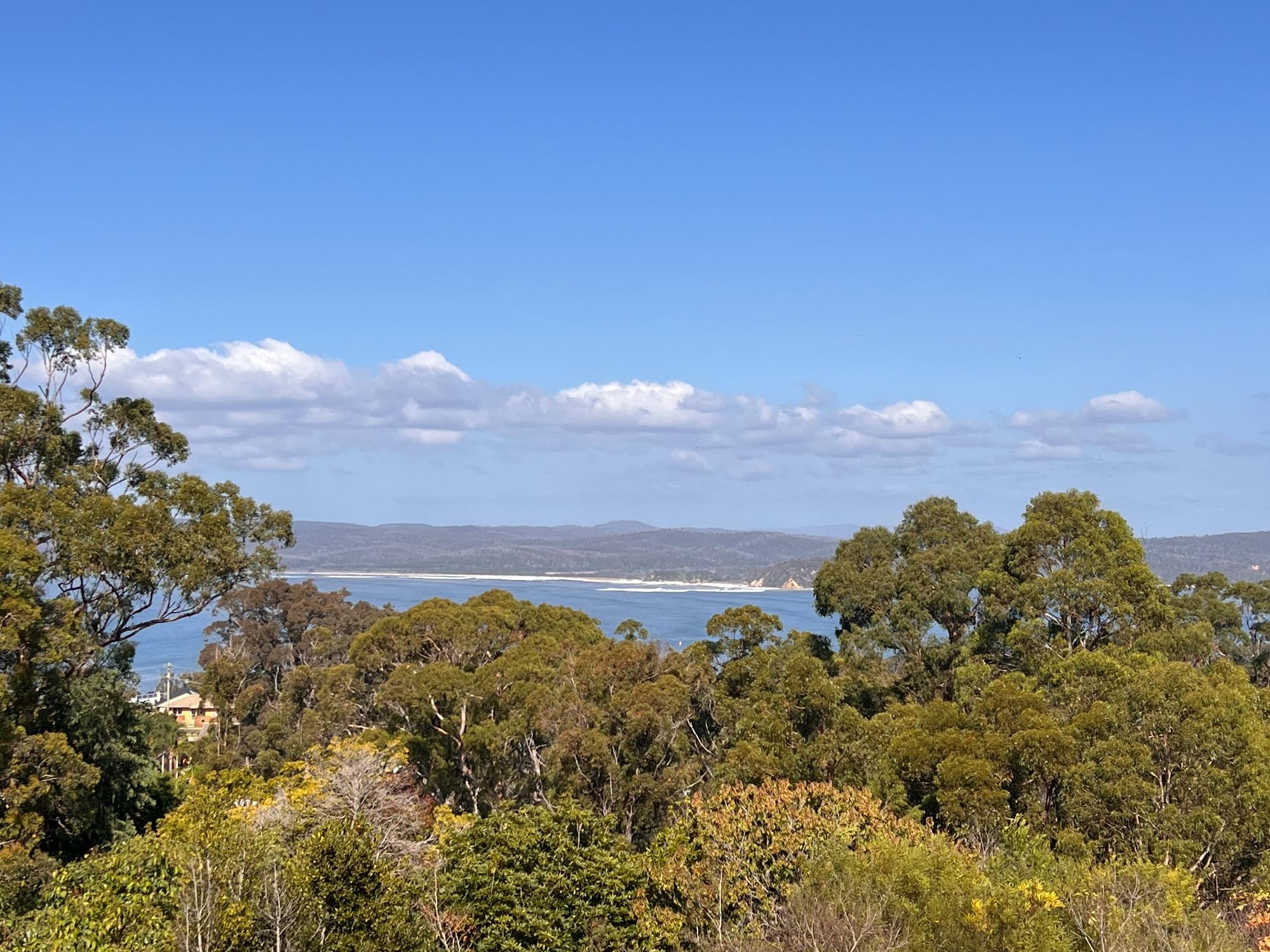 Deluxe King Room Ocean View