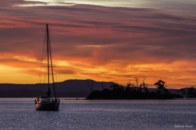 Tides Reach (2 Night Minimum)