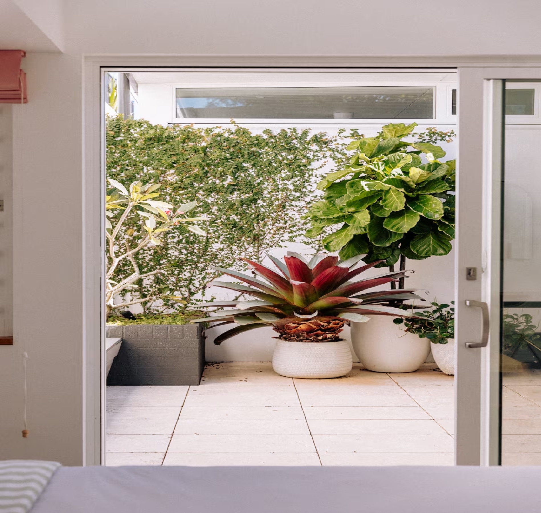 Exclusive use - Wave Hill and Pool House