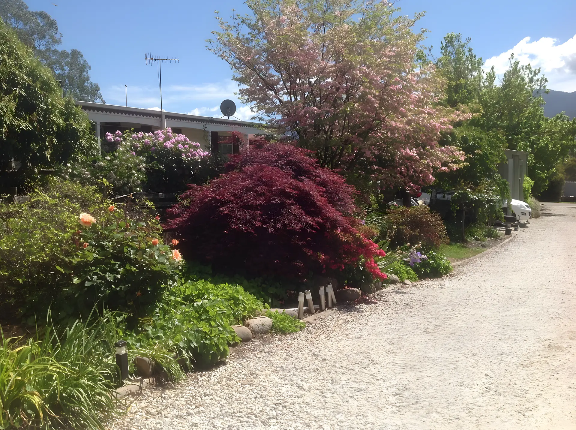 Bogong Moth Motel