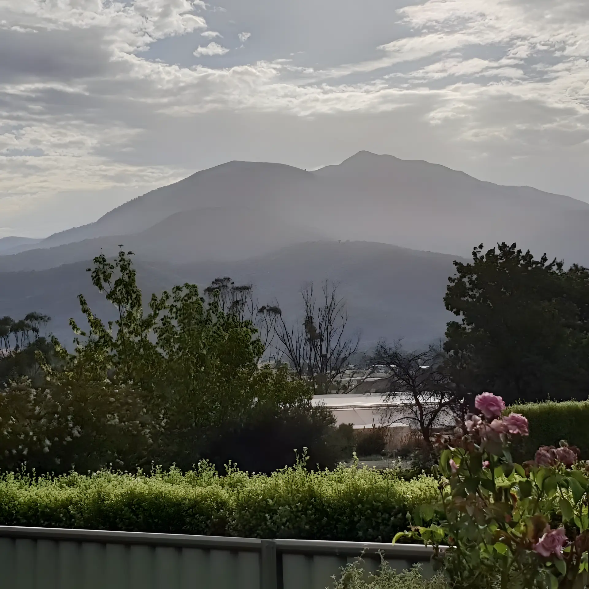 Bogong Moth Motel