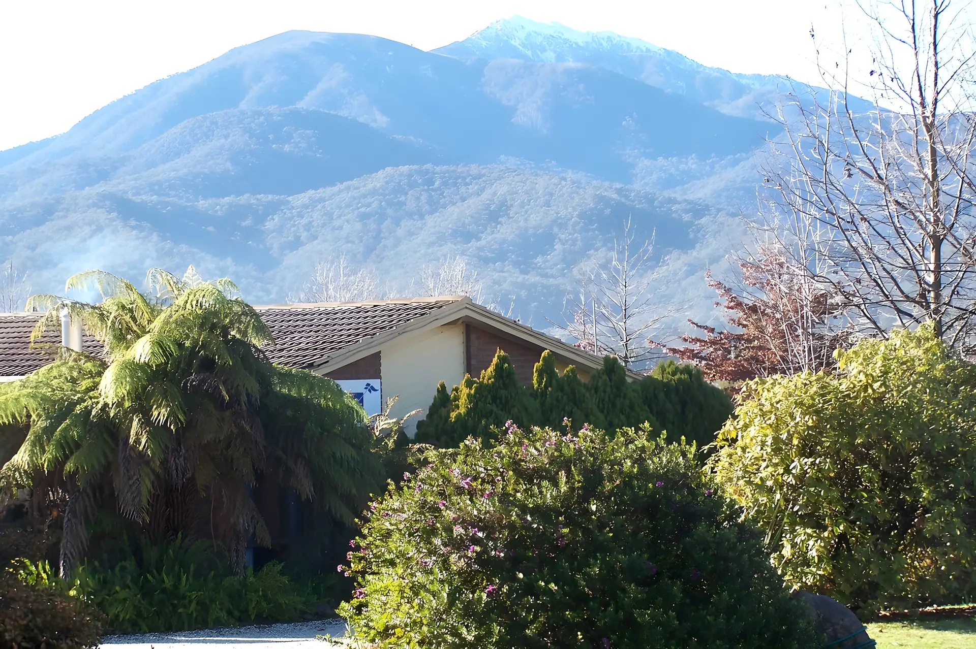 Bogong Moth Motel