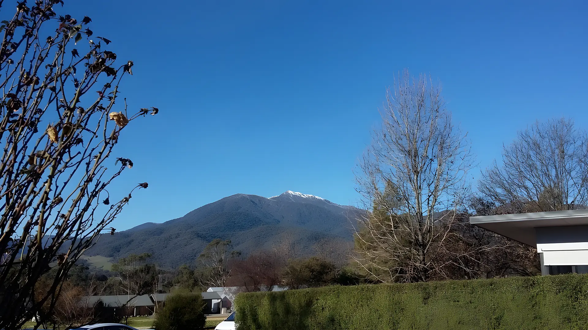 Bogong Moth Motel
