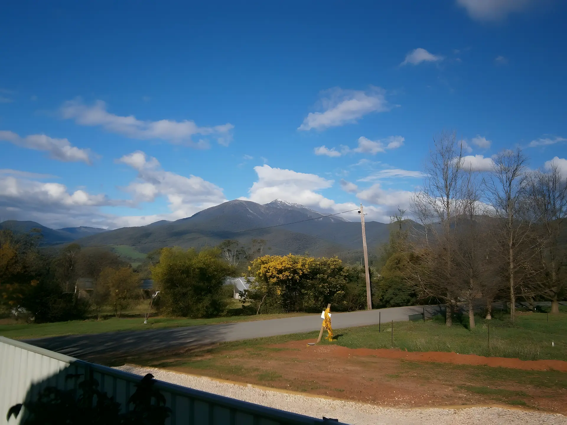 Bogong Moth Motel