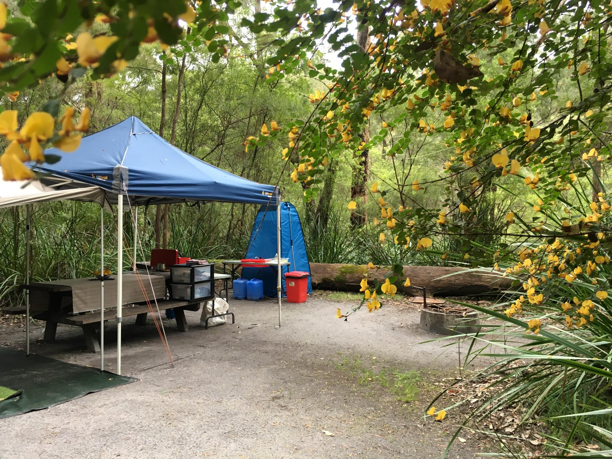 WA Wilderness Camping