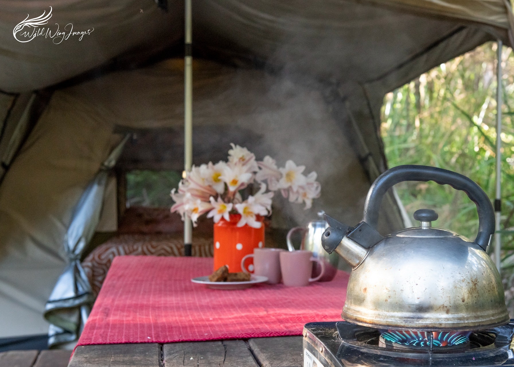 WA Wilderness Camping
