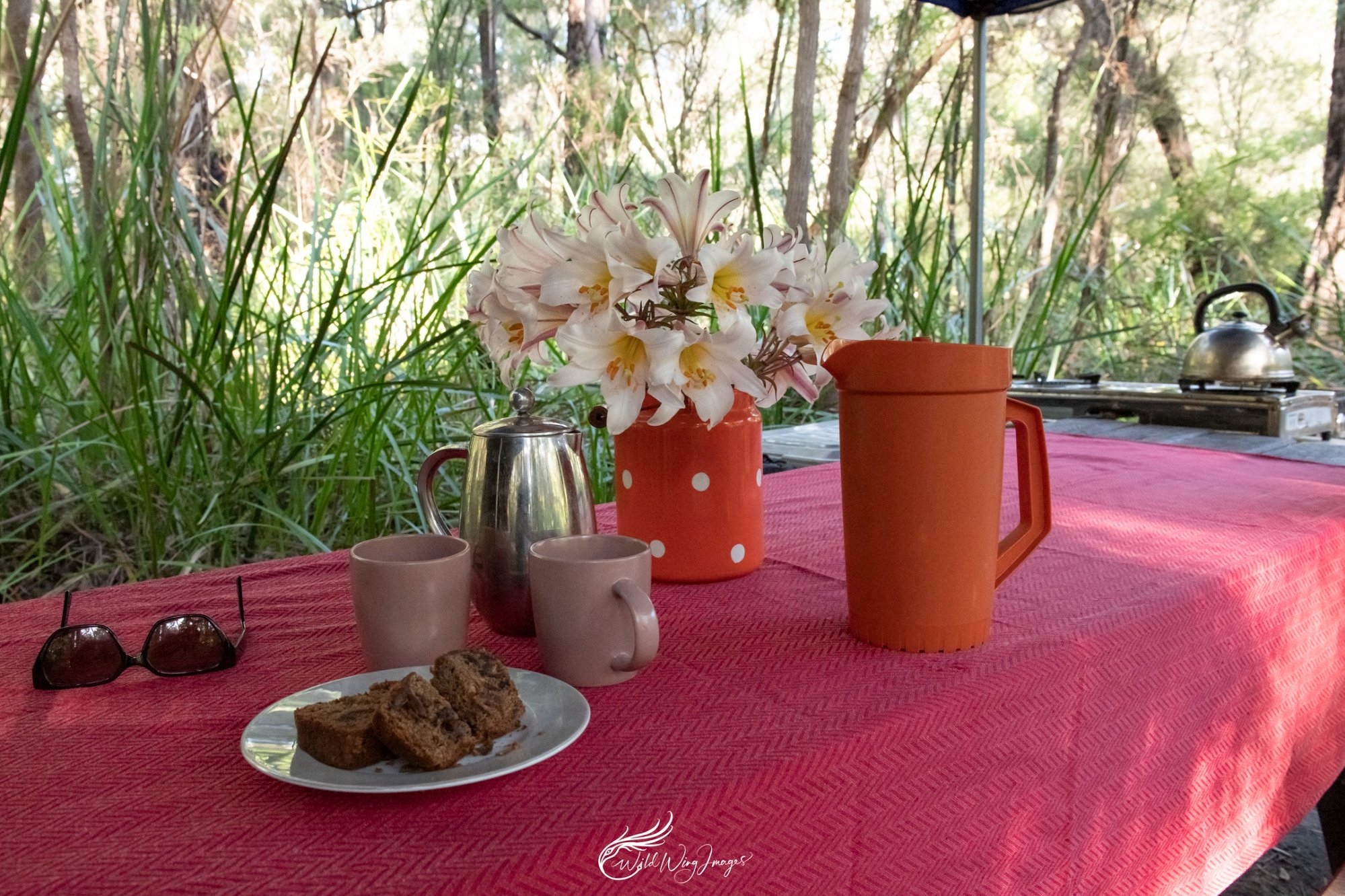 WA Wilderness Camping