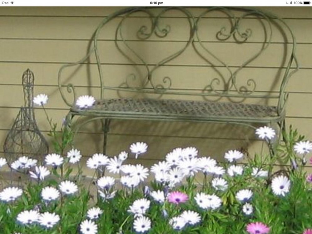 Cottage 1: Studio Cottage