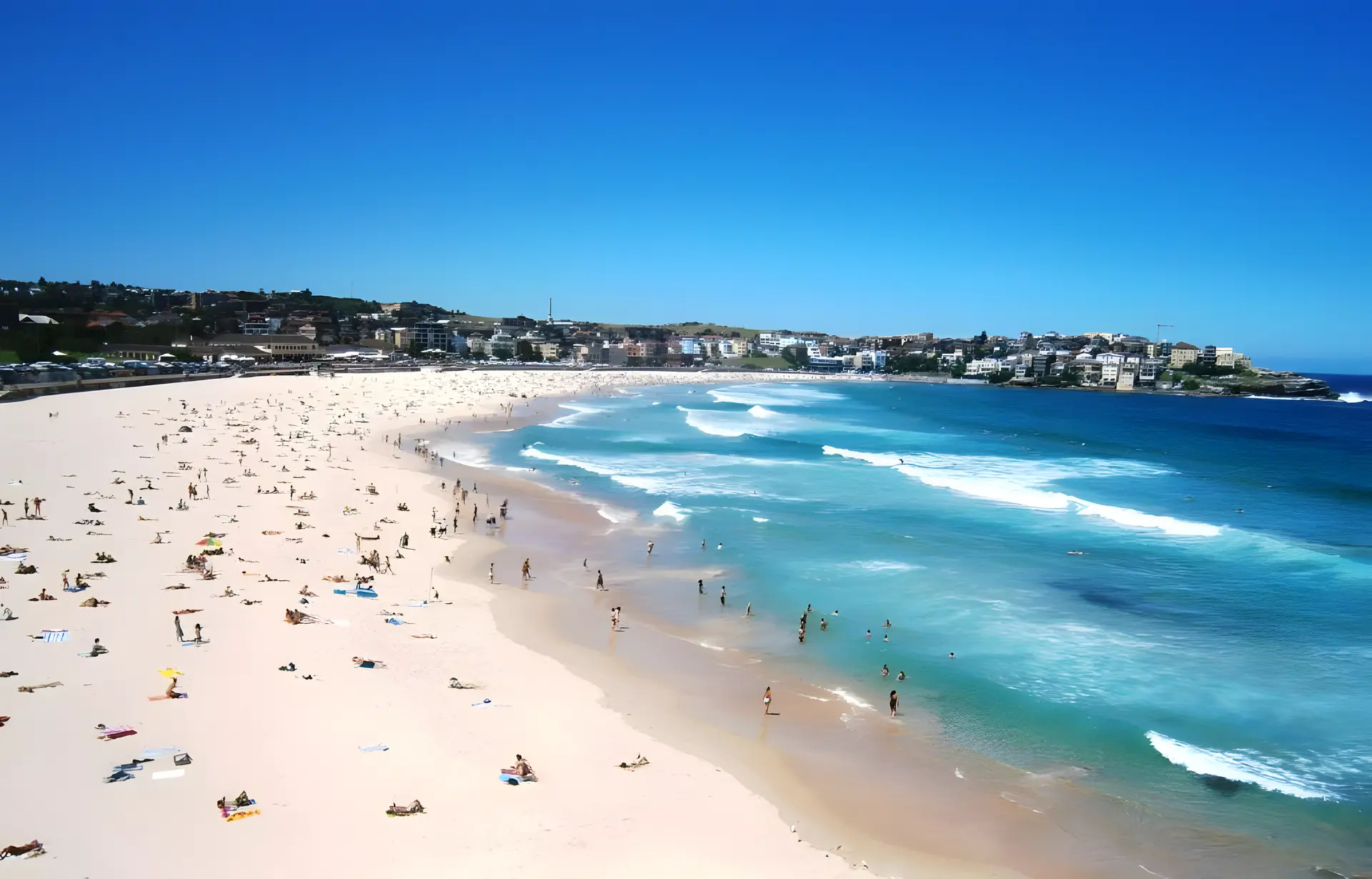 Sydney Accommodation