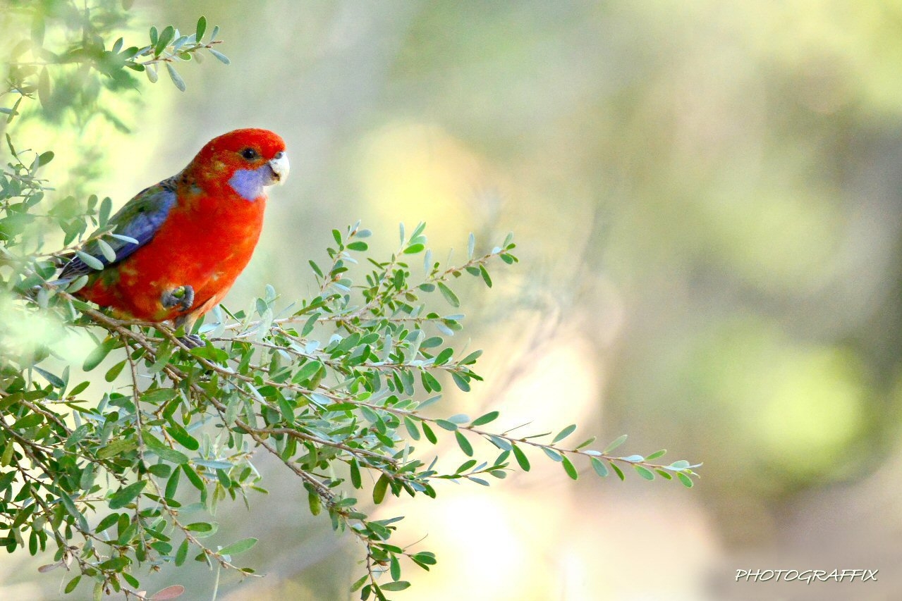 Victor Harbor Retreat