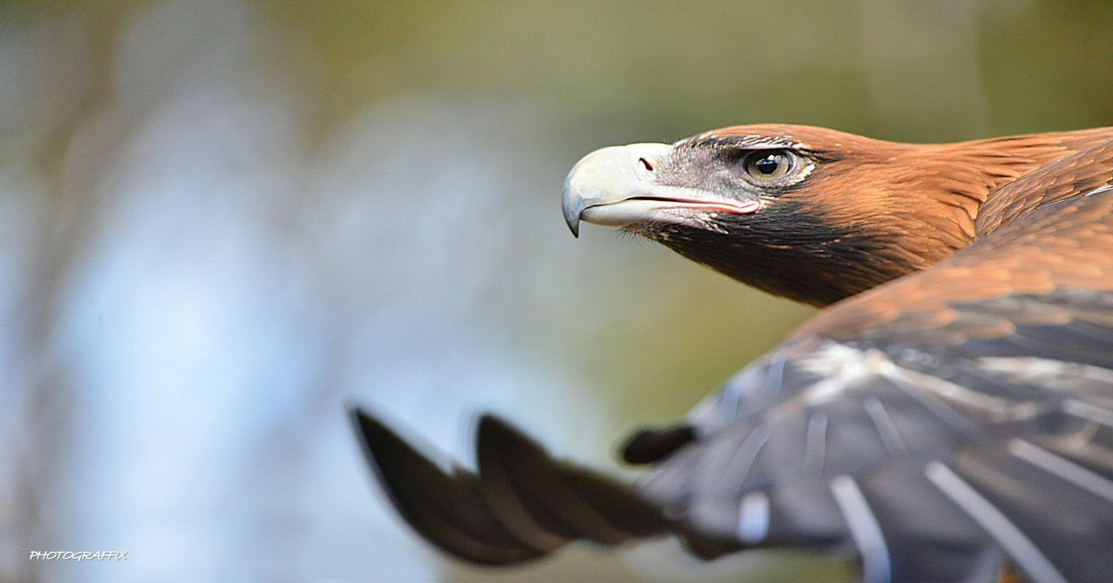 Victor Harbor Retreat