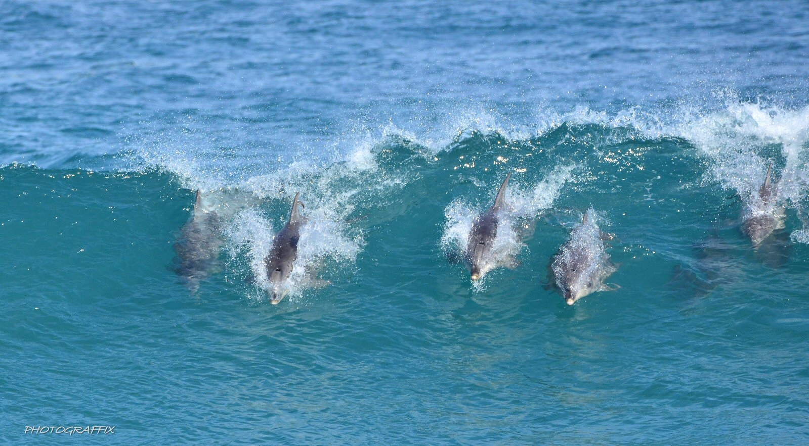 Victor Harbor Retreat