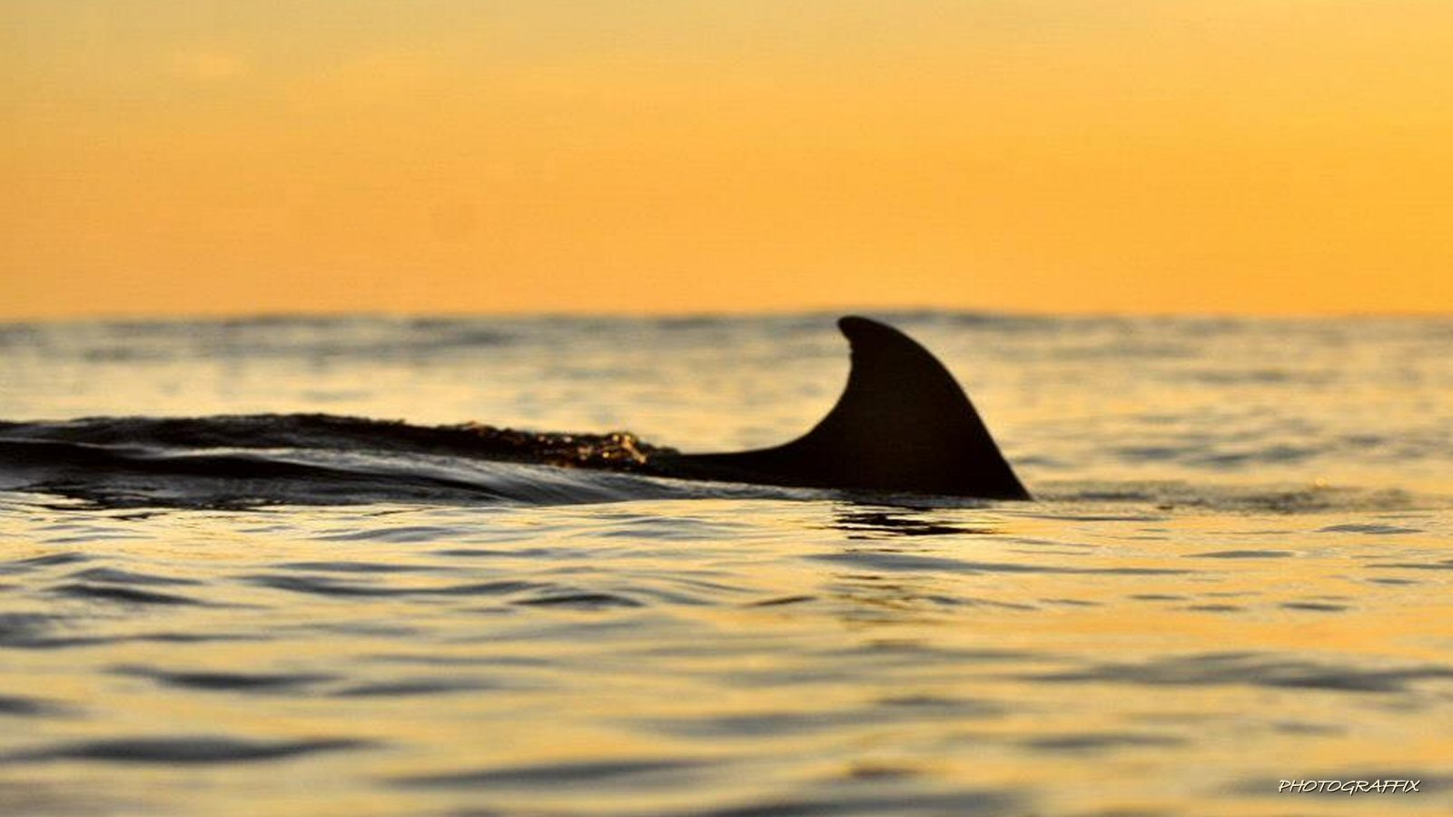 Victor Harbor Retreat