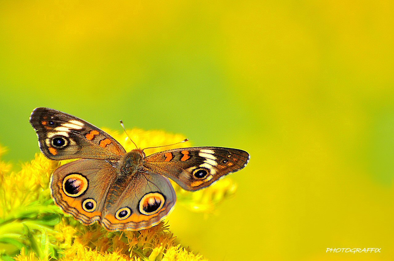 Victor Harbor Retreat