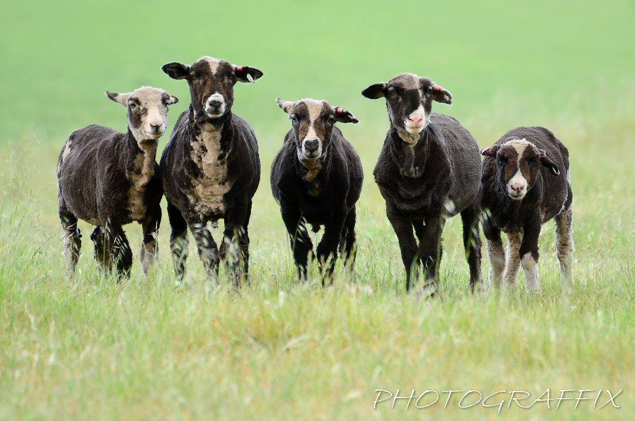 Victor Harbor Retreat