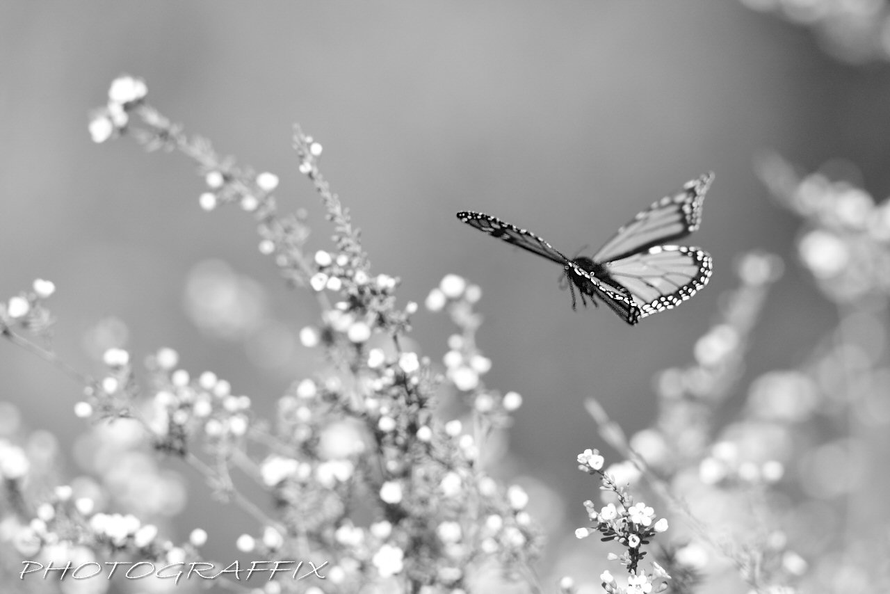 Victor Harbor Retreat