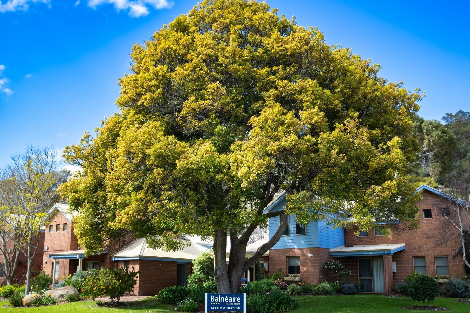 Albany Accommodation