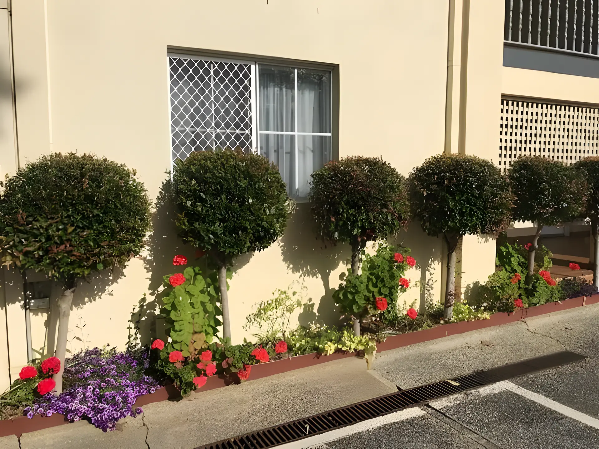 albury georgian motel and suites