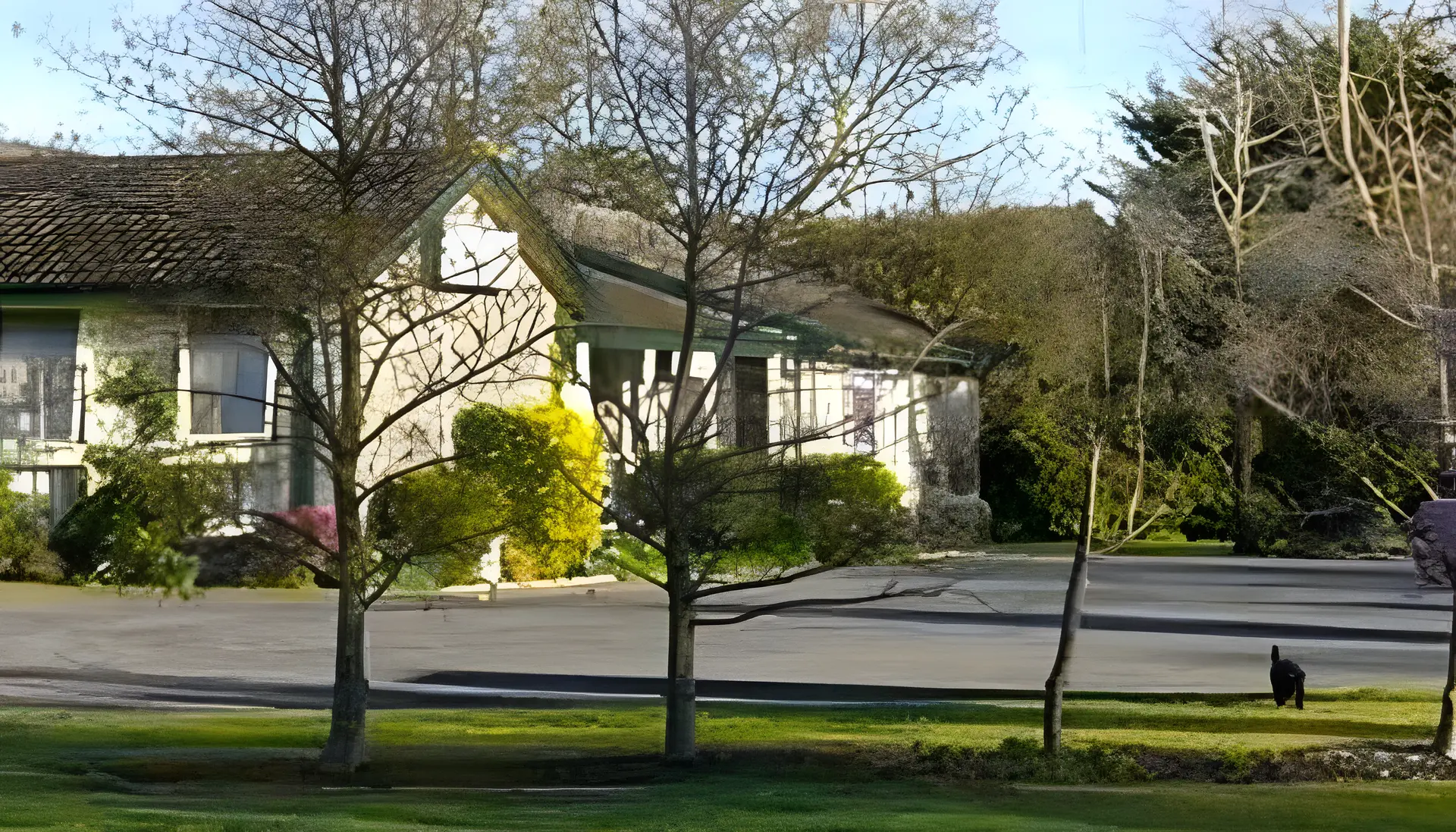 Gisborne Motel