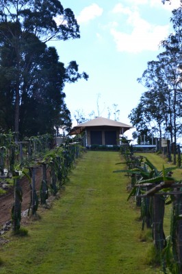 Kingfisher Eco-Tent 2 Night Stay