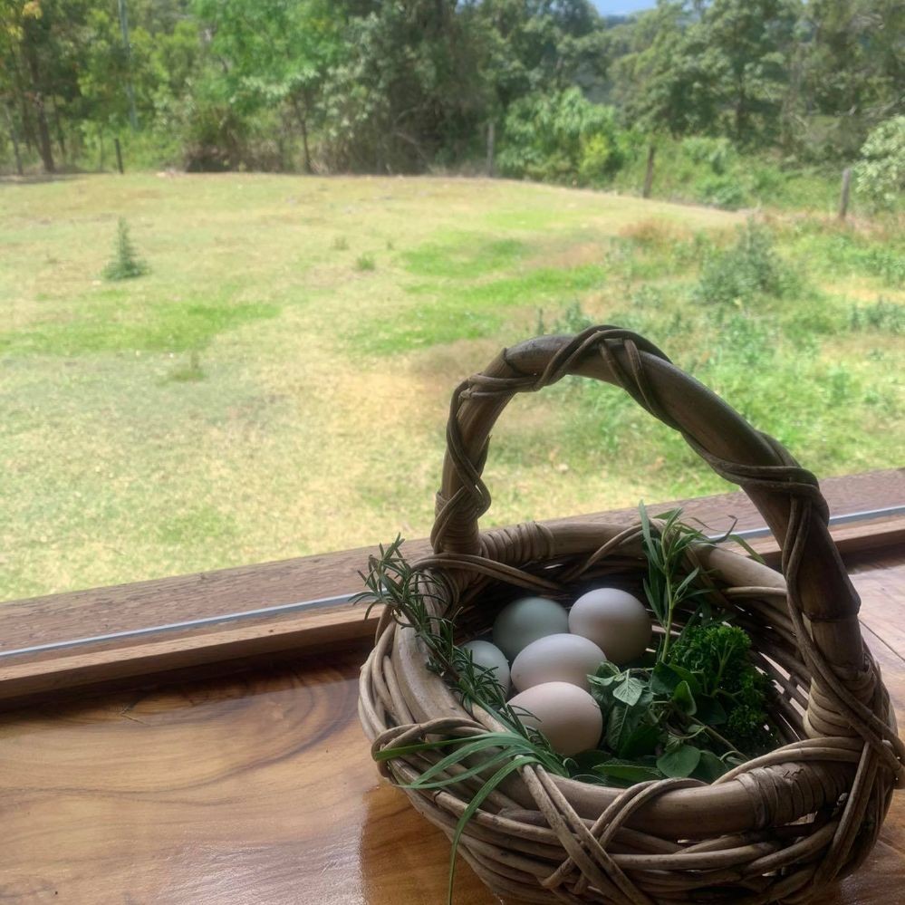 Rosecliffe Cottage - A Noosa Hinterland Farm Stay & Nature Retreat