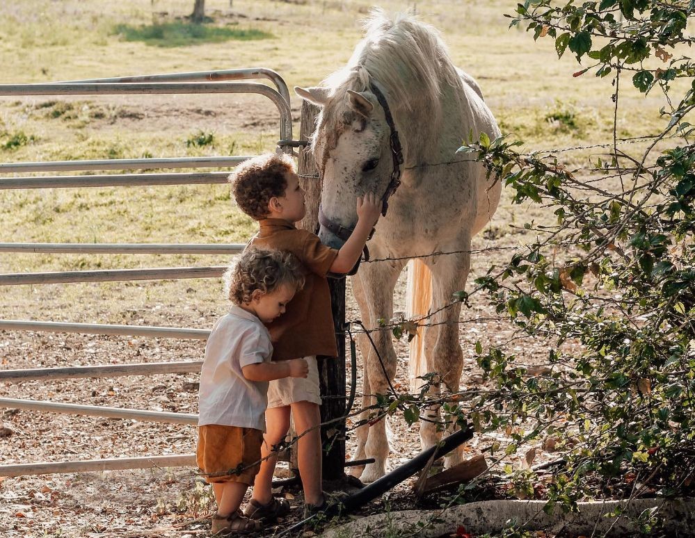Rosecliffe Cottage - A Noosa Hinterland Farm Stay & Nature Retreat