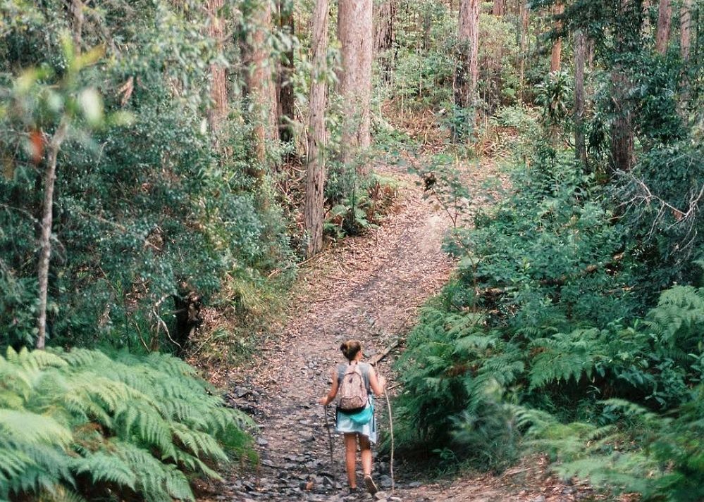 Rosecliffe Cottage - A Noosa Hinterland Farm Stay & Nature Retreat