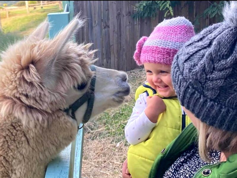 Rosecliffe Cottage - A Noosa Hinterland Farm Stay & Nature Retreat