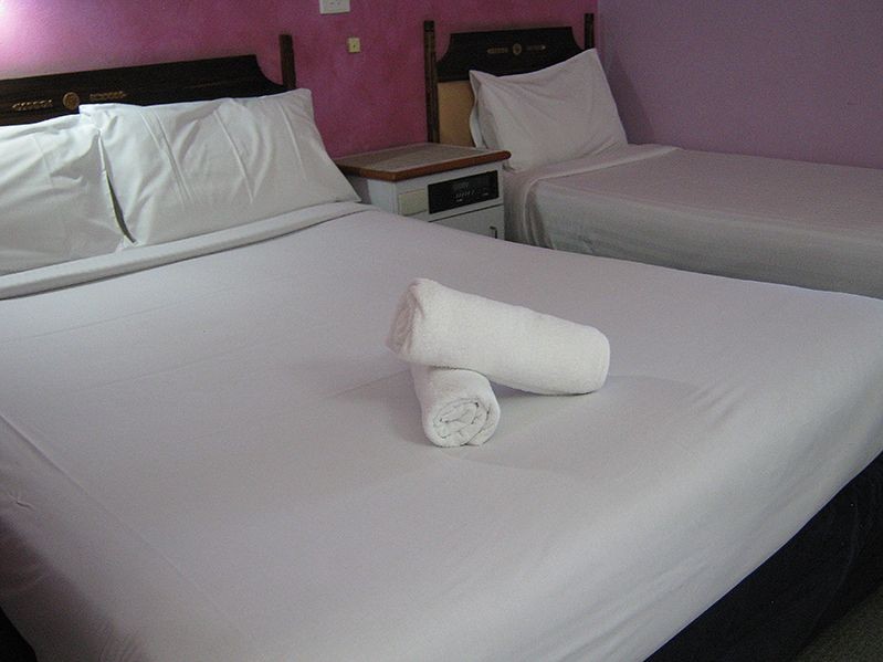 Standard Twin Room PET FRIENDLY