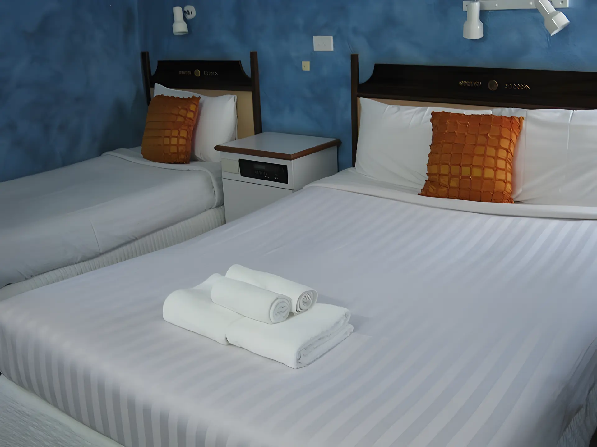 Standard Twin Room PET FRIENDLY