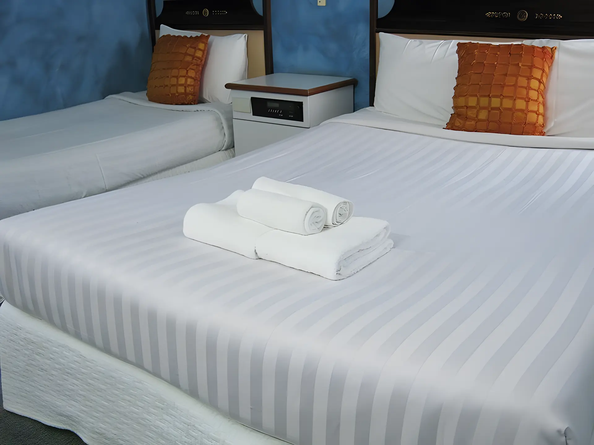 Standard Twin Room PET FRIENDLY