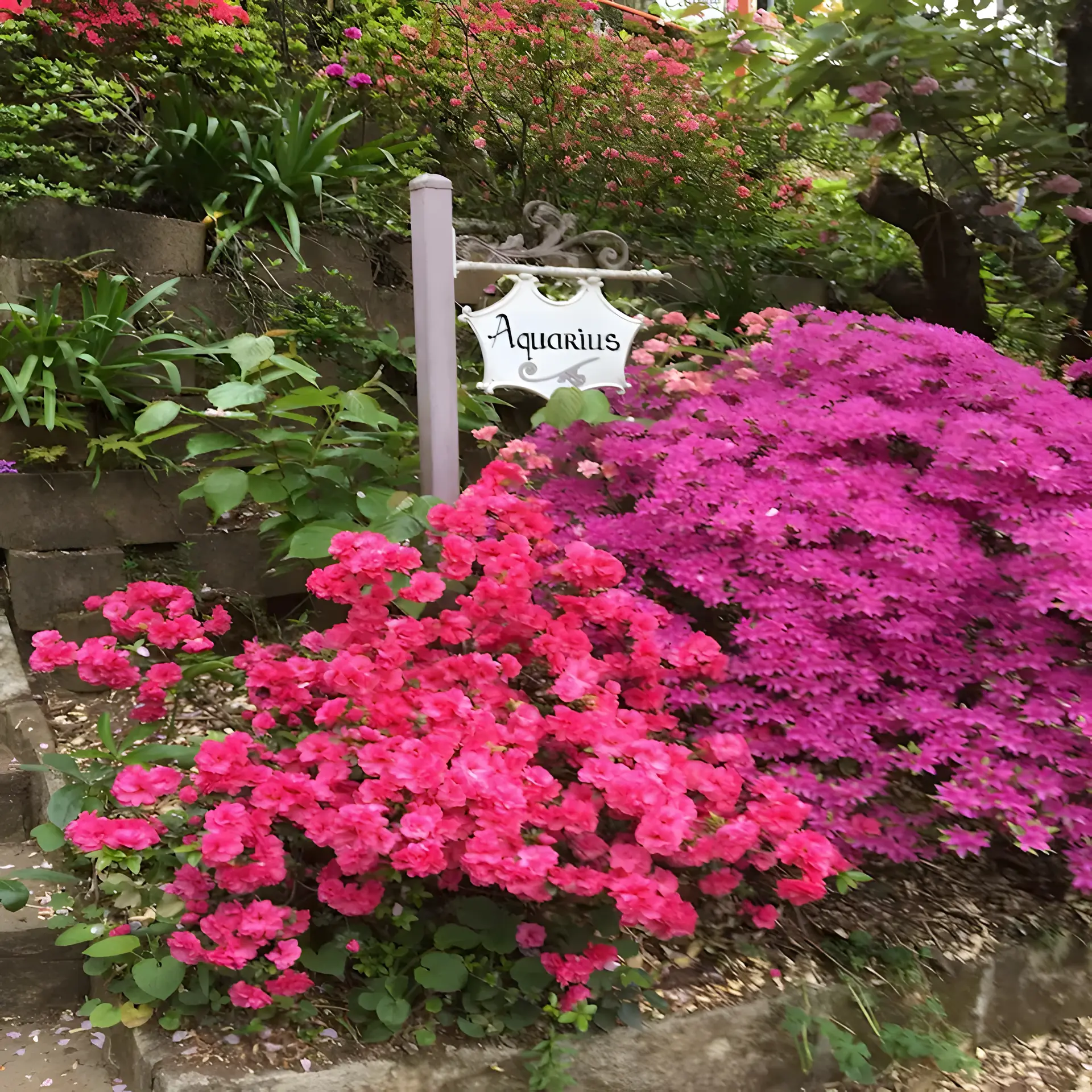 Katoomba Accommodation