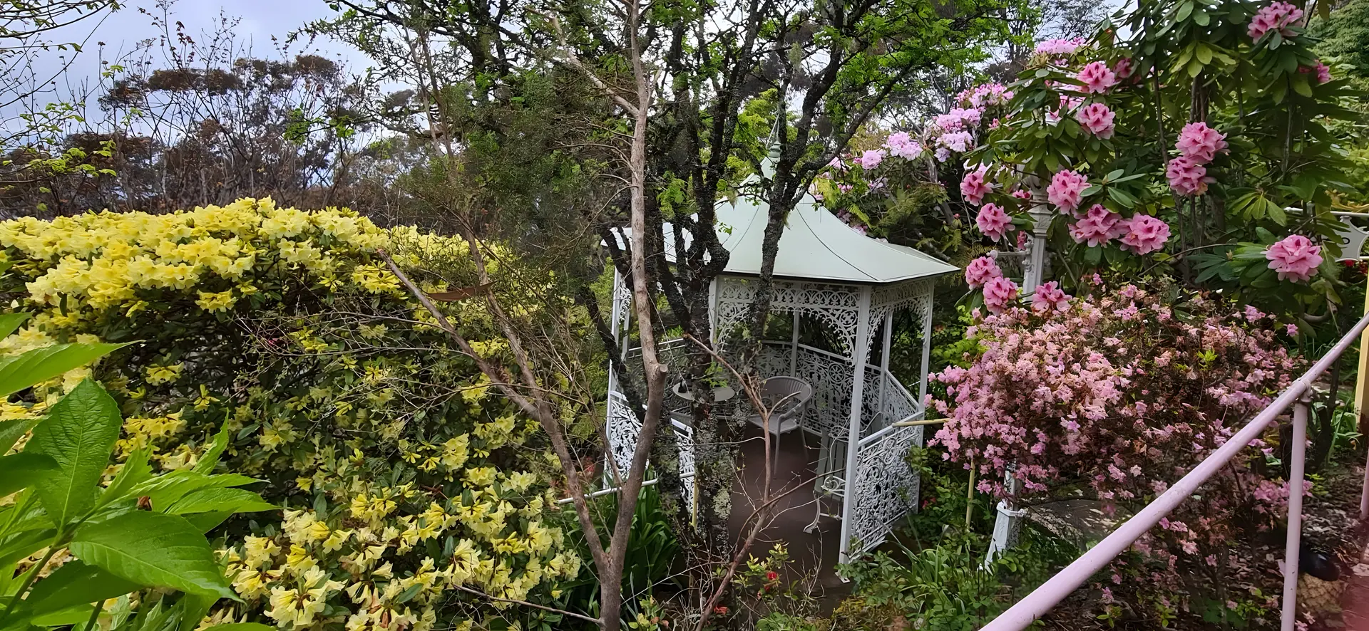Katoomba Accommodation