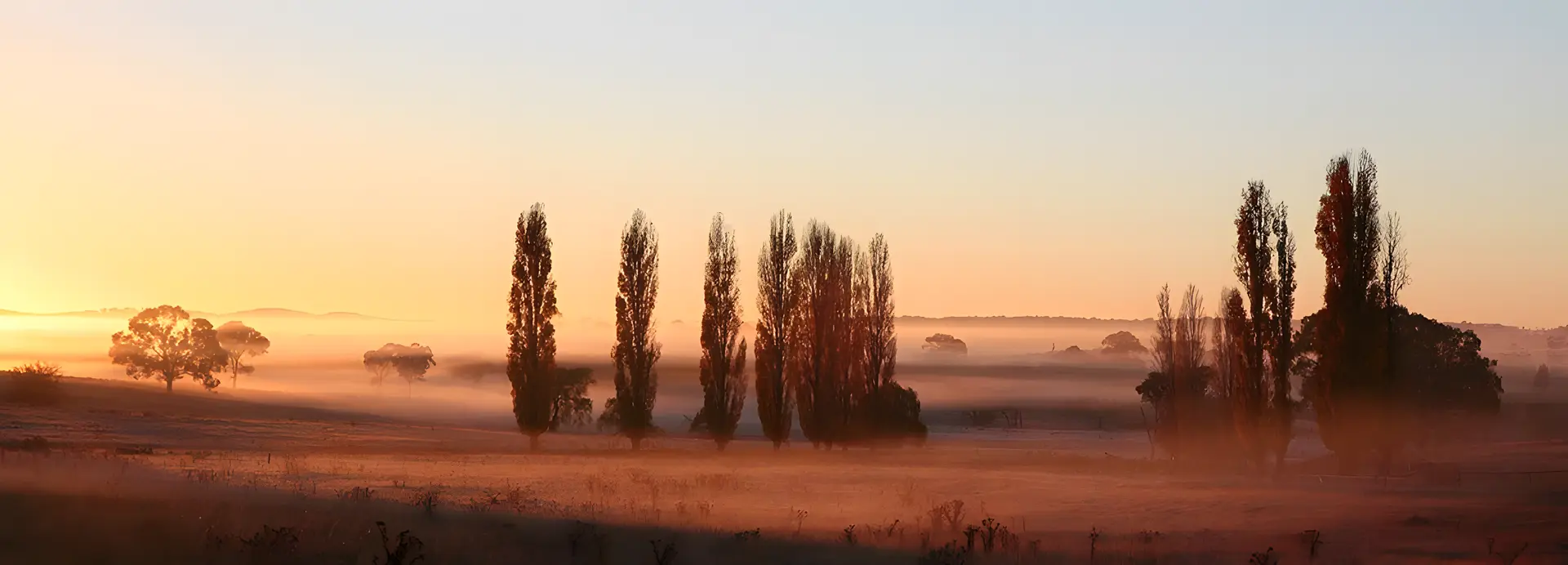 Altona Motel Uralla