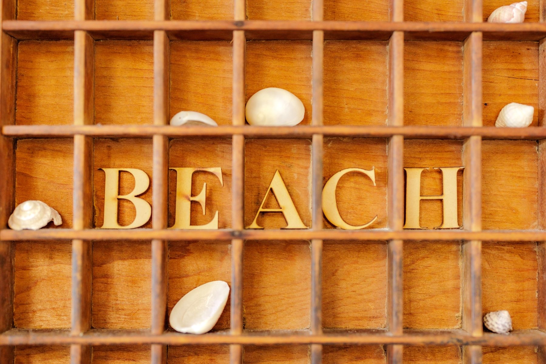 Emu Point Beach Cottages: Oyster