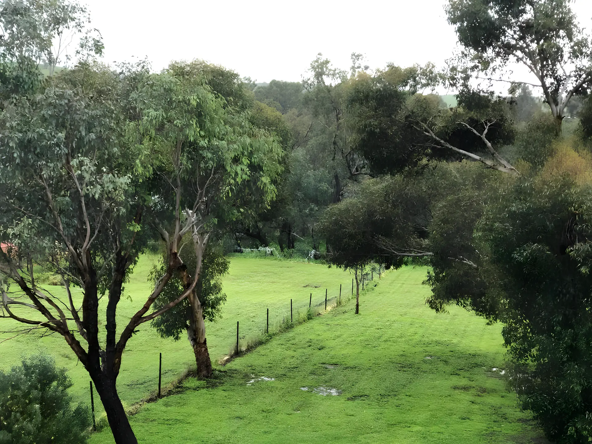 Toodyay Manor, Feels like Home