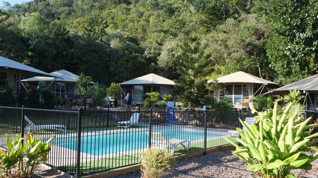 King Tent 9 One Night