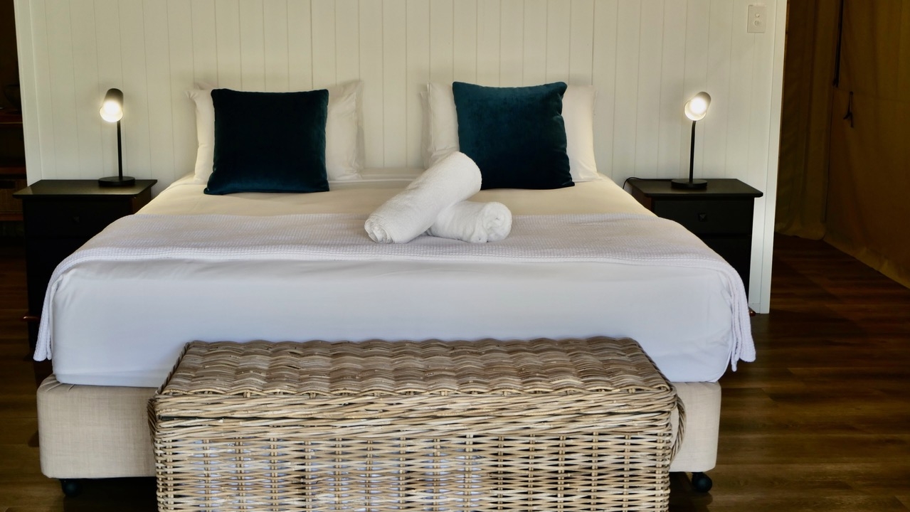 King Tent 9 One Night