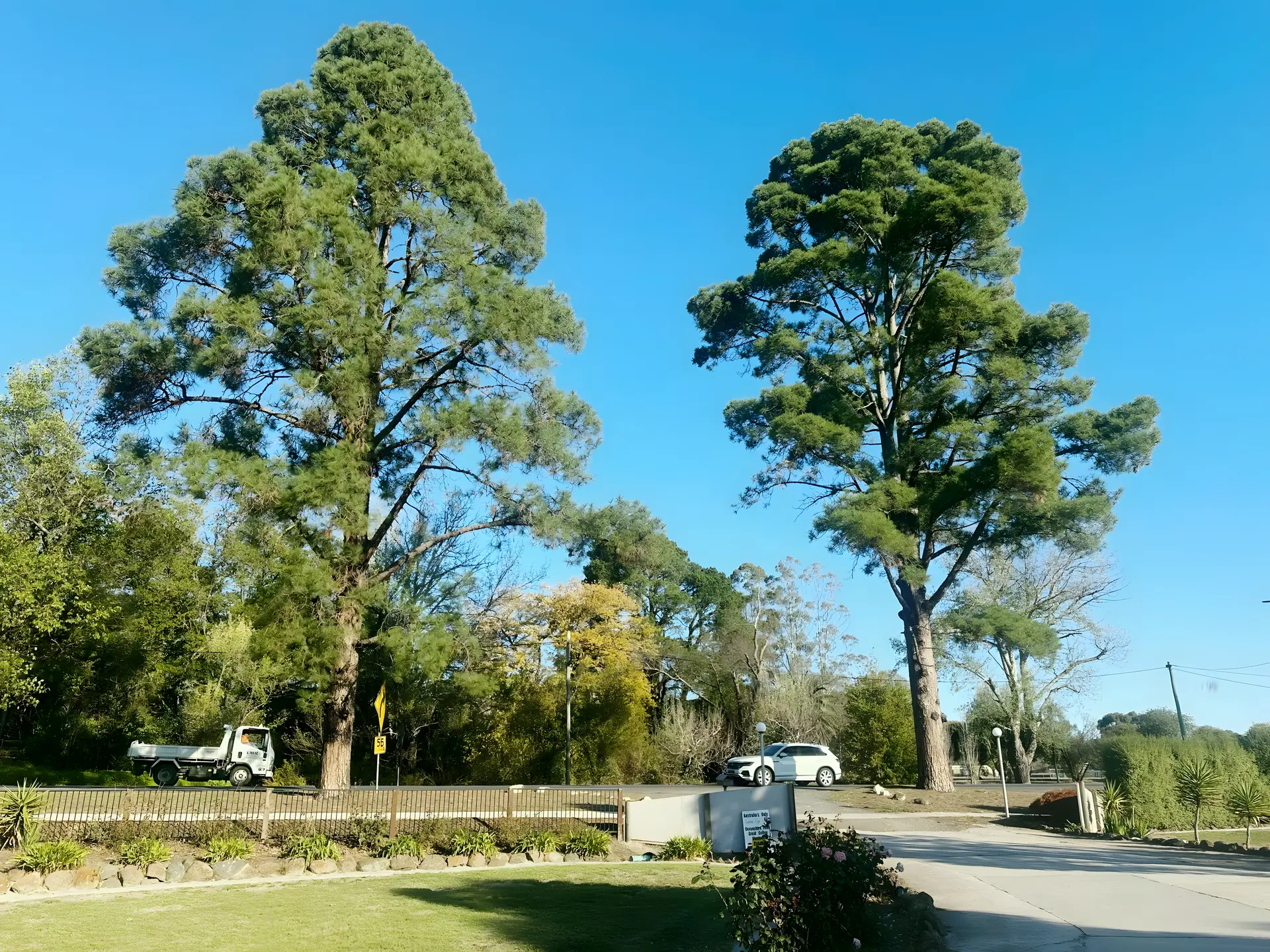 Beaufort Motel - The Imperial Egg Gallery