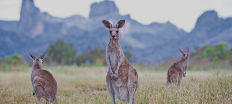 Coonamble Accommodation
