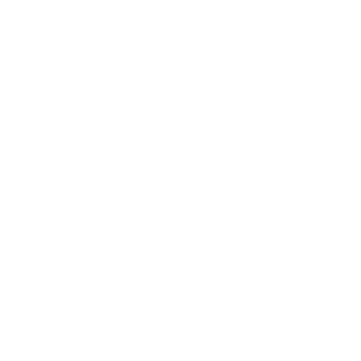 Car Parking